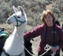 Snowy Owl assist on the Burns Llama Trailblazers' bird festival tour