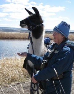 Tory helps his person find the cinnamon teal