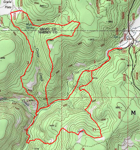 Llama Pack Trials at Myrtle Creek use trail, logging tracks and cross country routes.