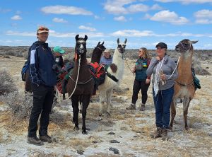 Hikers and their llama companions on the Burns Llama Trailblazers' bird festival tour