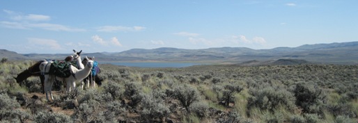 Warmsprings Reservoir shimmers in the distance