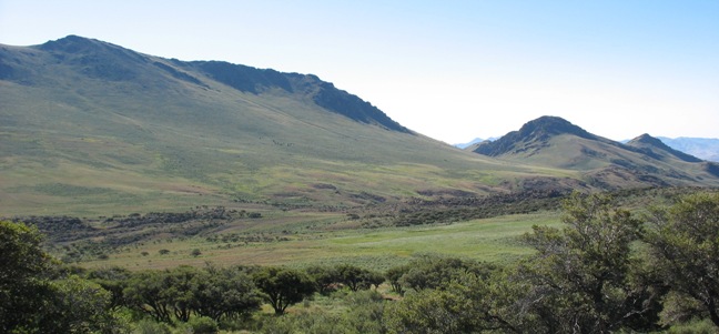 View across Van Horn Basin in the Pueblo Mountains