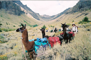 Being with llamas in the wide open spaces is a marveolous experience
