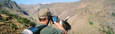 Llama packing on Wildhorse Rim, Steens Mountain, Oregon