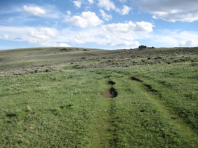 Packing on Steens Mtn. with Burns Llama Trailblazers