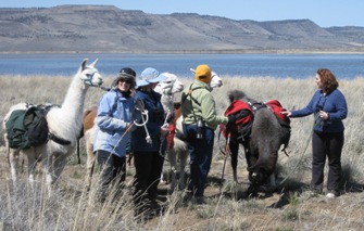 Enjoy a hike with Burns Llama Trailblazers